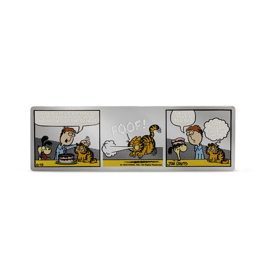 Nickelodeon - Garfield's 1st Birthday