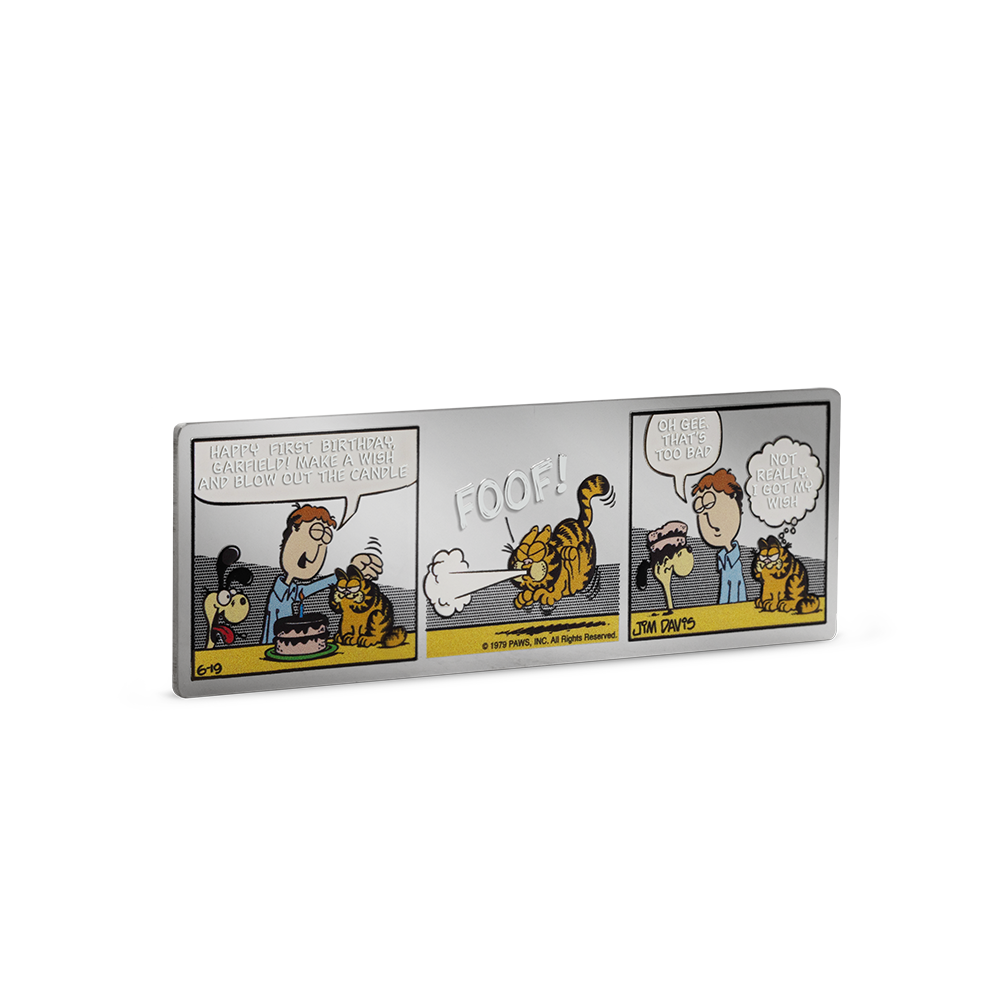 Nickelodeon - Garfield's 1st Birthday