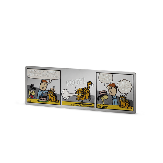 Nickelodeon - Garfield's 1st Birthday