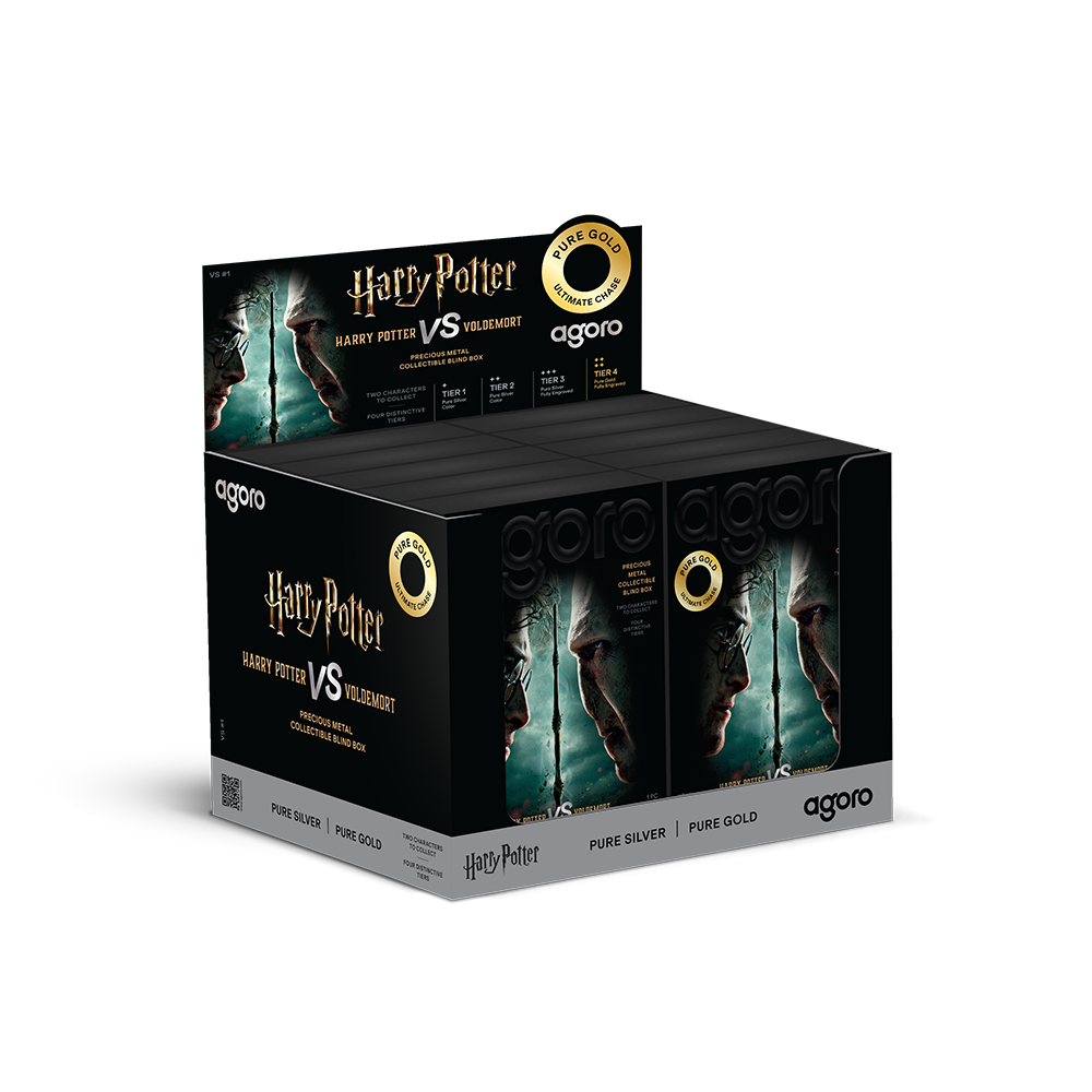 HARRY POTTER™ VS Voldemort - Blind Box