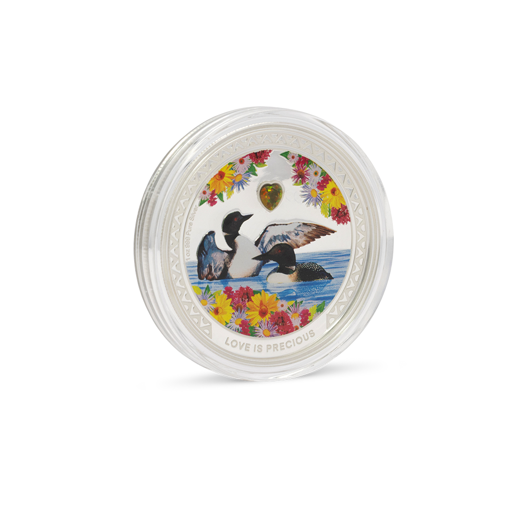 Love is Precious – Great Northern Diver