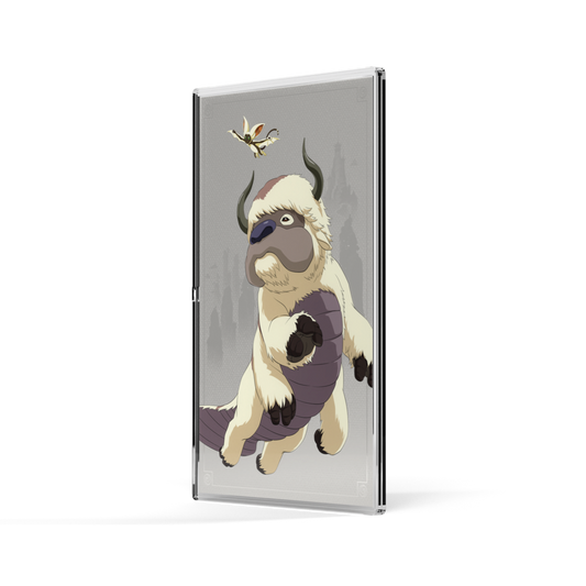 Avatar The Last Airbender - Appa and Momo