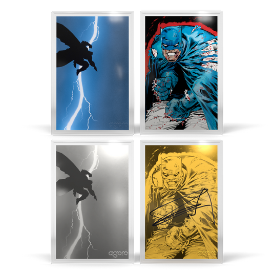 BATMAN: THE DARK KNIGHT RETURNS™ - Blind Box