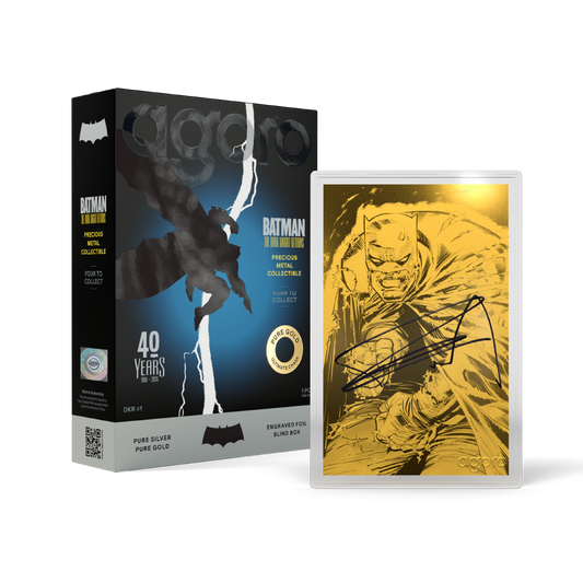 BATMAN: THE DARK KNIGHT RETURNSâ„¢ - Blind Box