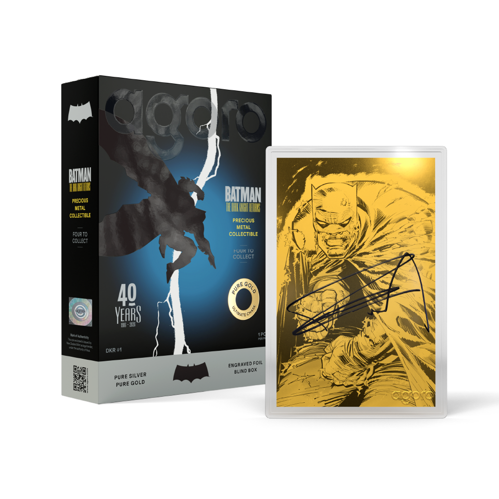 BATMAN: THE DARK KNIGHT RETURNS™ - Blind Box