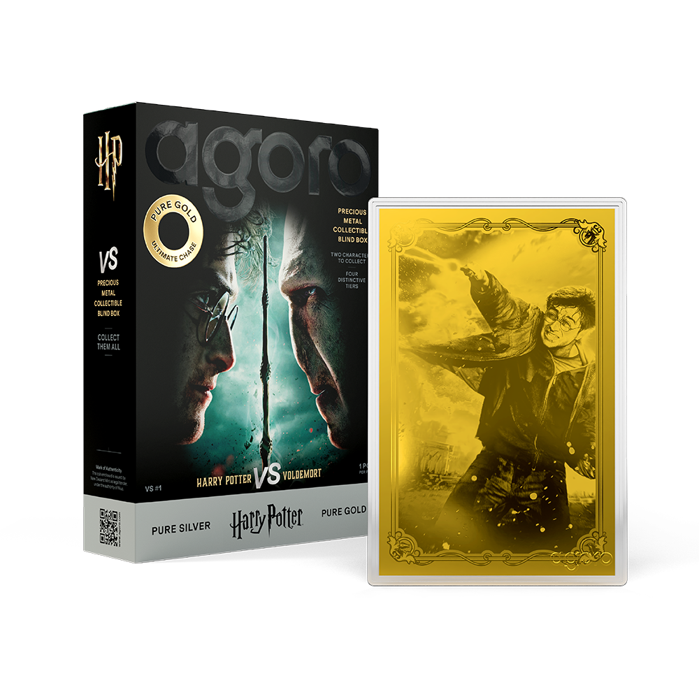 HARRY POTTER™ VS Voldemort - Blind Box