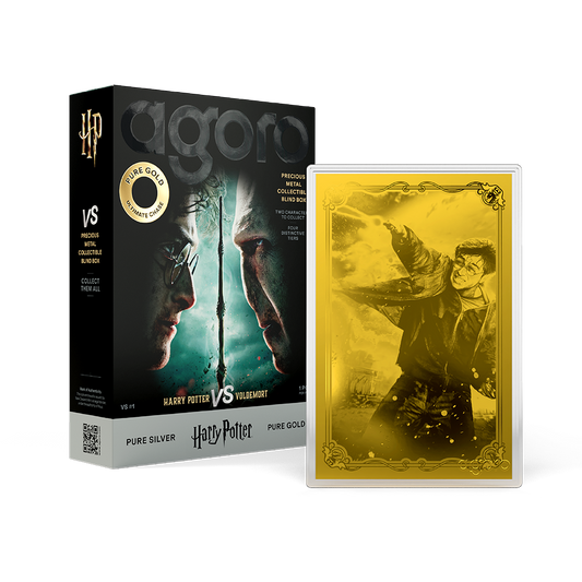 HARRY POTTER™ VS Voldemort - Blind Box