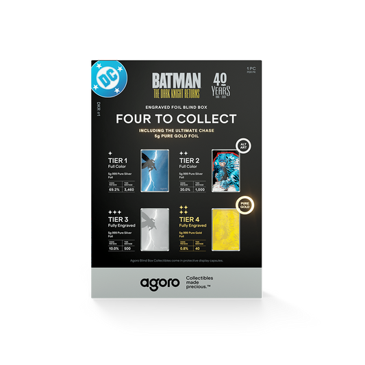 BATMAN: THE DARK KNIGHT RETURNS™ - Blind Box