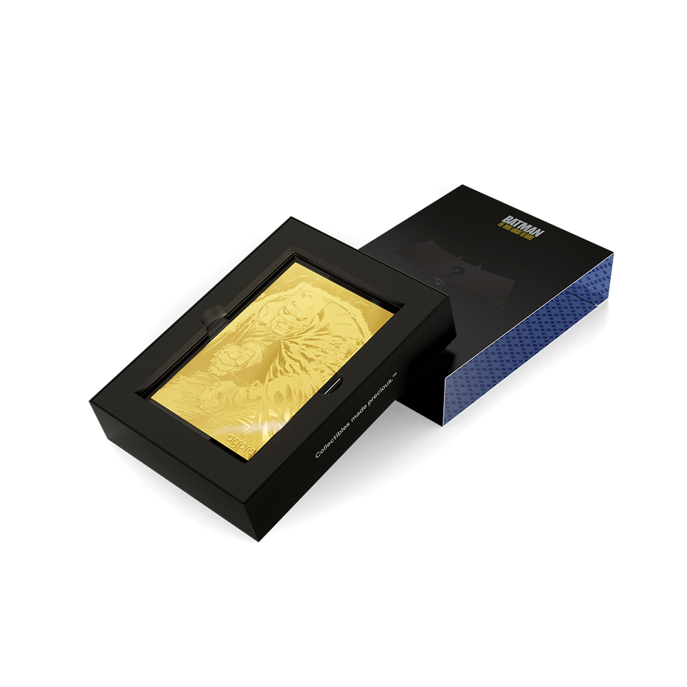 BATMAN: THE DARK KNIGHT RETURNS™ - Blind Box