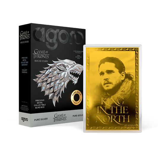 Game of Thrones: House Stark - Blind Box