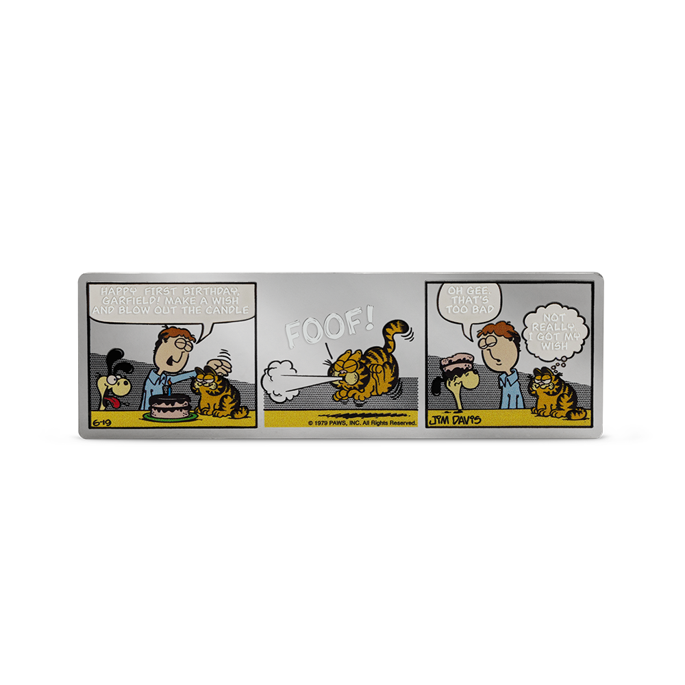 Nickelodeon - Garfield's 1st Birthday