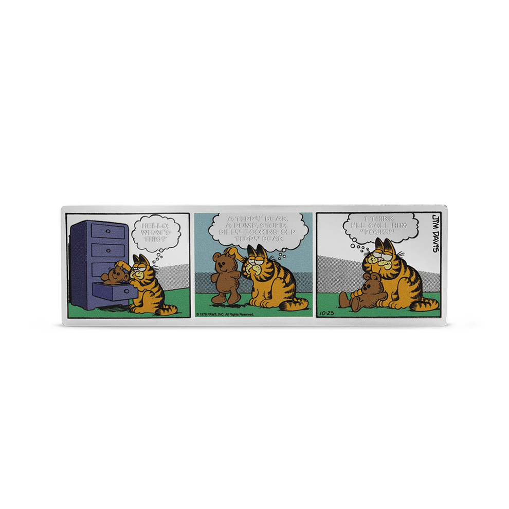 Buy Nickelodeon - Garfield & Pooky by Garfield online - Agoro