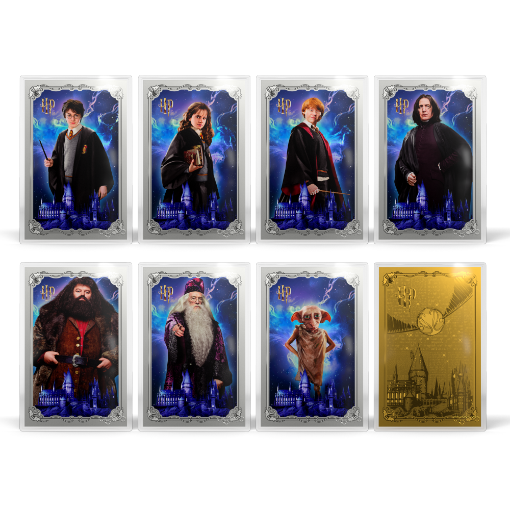 HARRY POTTER™ - 25 Years of Magic Blind Box