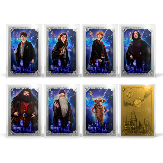 HARRY POTTER™ - 25 Years of Magic Blind Box