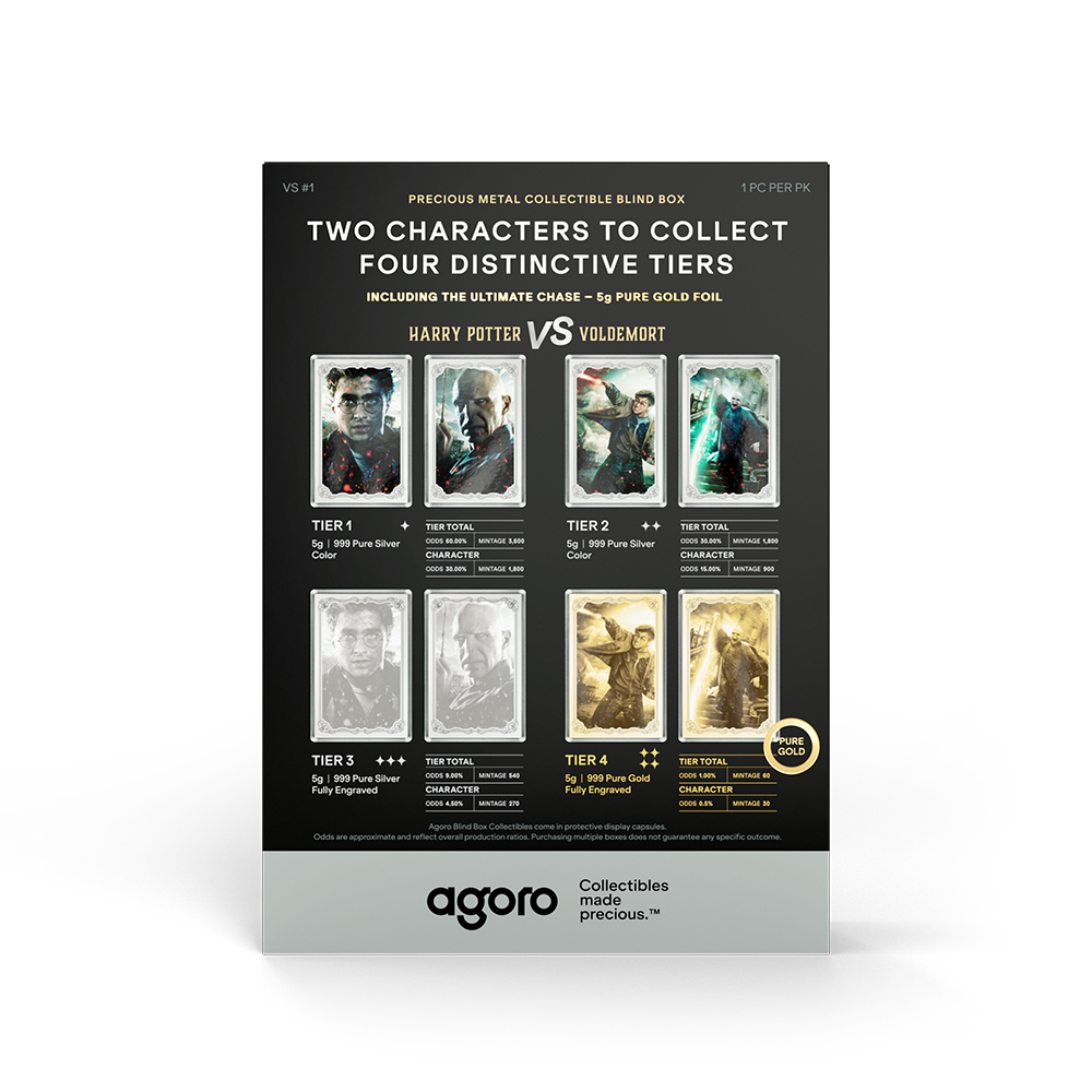 HARRY POTTER™ VS Voldemort - Blind Box