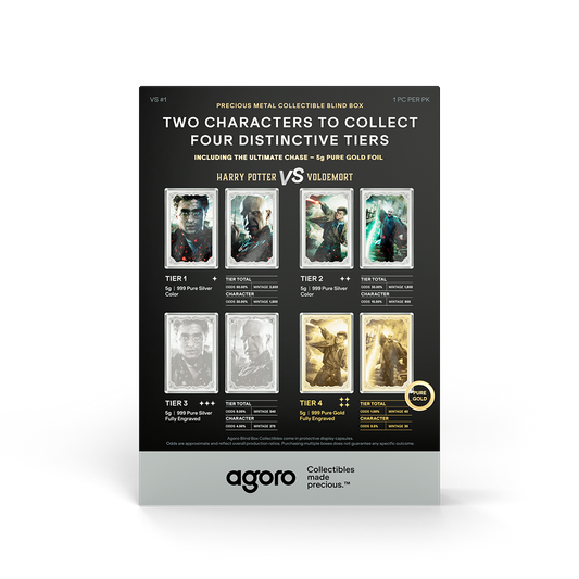 HARRY POTTER™ VS Voldemort - Blind Box