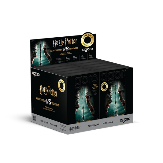 HARRY POTTER™ VS Voldemort - Blind Box