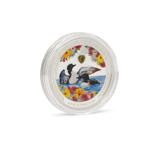 Love is Precious – Great Northern Diver