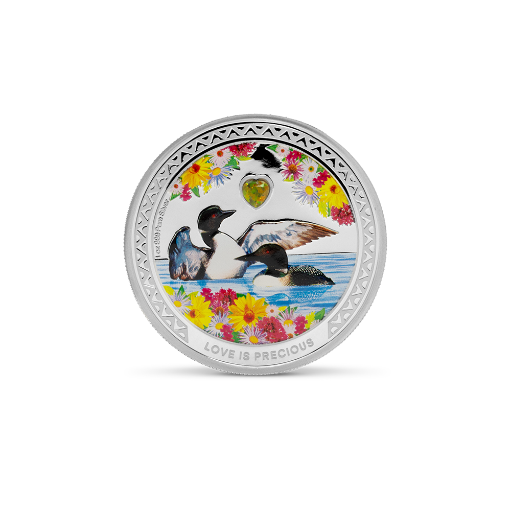 Love is Precious – Great Northern Diver
