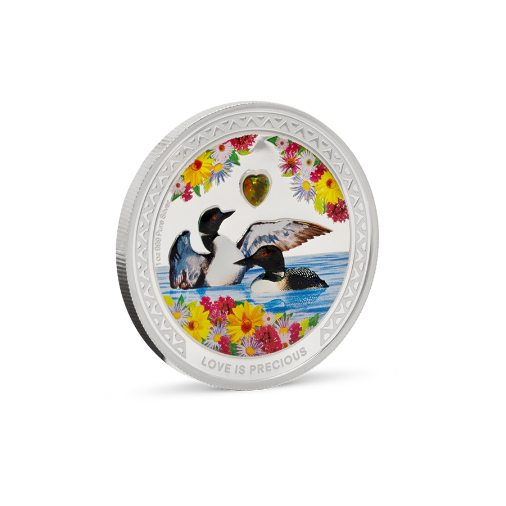 Love is Precious – Great Northern Diver