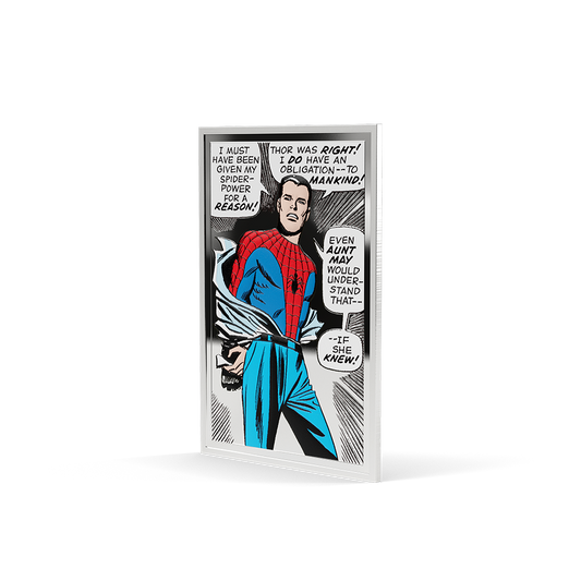 Marvel – The Power, The Duty, The Choice