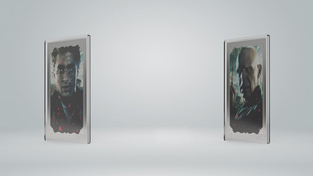 HARRY POTTER™ VS Voldemort - Blind Box