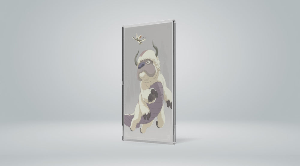 Avatar The Last Airbender - Appa and Momo